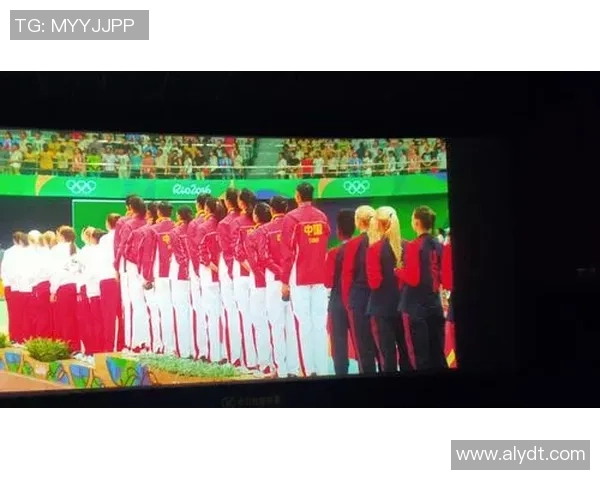 武汉排球队的辉煌崛起与冠军赛背后的奋斗故事